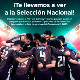 iTe llevamos a ver a la Sellecc